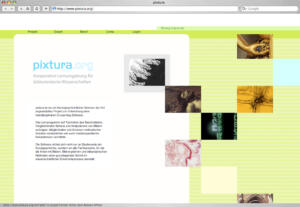 Projektwebsite Pixtura